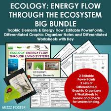 Biotic And Abiotic Factors In An Ecosystem Slideshare Ecology Big Bundle Trophic Elements Energy Flow With Ppt Notes Worksheets Biology Lessons