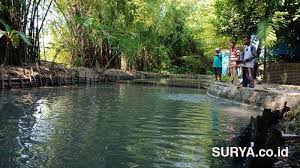 Suradi Sulap Halaman Belakang Seluas 2009 M2 Jadi Kolam Ikan Dan Lobster Surya