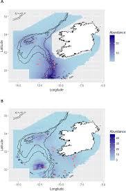 Certain memories are automatically recalled for two main reasons: Plos One Using Tagging Data And Aerial Surveys To Incorporate Availability Bias In The Abundance Estimation Of Blue Sharks Prionace Glauca