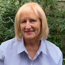 Who is a good local detailer for a mini van?