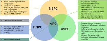 Learn more about the causes of prostate cancer here. Clinical Considerations For The Management Of Androgen Indifferent Prostate Cancer Prostate Cancer And Prostatic Diseases