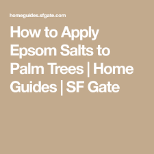 How To Apply Epsom Salts To Palm Trees Epsom Salt Palm Trees Potted Palm Trees
