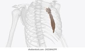Reflux And Heartburn Center | Christianacare