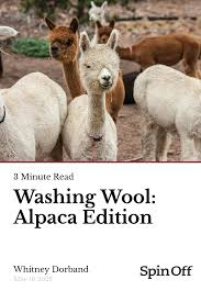 Washing Wool: Alpaca Edition | Spin Off