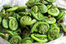 Ostrich ferns produce two types of fronds. Ostrich Fern Fiddleheads How To Identify And Cook Gardening Channel