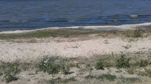 It is situated at the bay of kamien, which is surrounded on the island wolin and the mainland of pomerania. Trasy Rowerowe Miedzywodzie Sciezki Na Rower