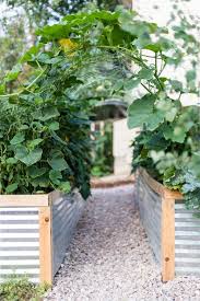 You could probably weld an arch like this out of metal, but the more cost effective way is to erect one using pvc piping. Garden Blog Foraged Dish