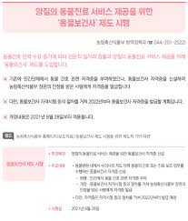 쌍문동 애기선녀입니다 이번에는 2021년 대한민국 국운예언 미리 알려드리도록. Lzomiddcnc Jdm