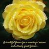 See how strong is your friendship. 1