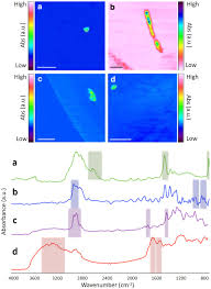 This thing will take your arm off. Frontiers Microplastic Monitoring At Different Stages In A Wastewater Treatment Plant Using Reflectance Micro Ftir Imaging Environmental Science