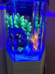 We did not find results for: Top Fin Captivate Starter Kit Fish Starter Kits Petsmart