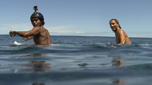 THE SHALLOWS (2016) review | Keeping It Reel
