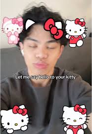 Let Me Say Hello to Your Kitty Prom