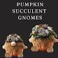 Pumpkin Succulent Gnome