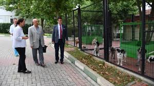 Prof Dr Aygul Den Osmangazi Belediyesi Hayvan Barinagi Na Ovgu Sonhaber16 Com
