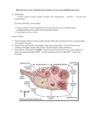 Proses Ovulasi Fertilisasi Implantasi Dan