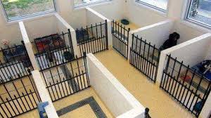 Pin By Vetbilgi On Kennel Interior Set Up Dog Boarding Facility Dog Kennel Apartment Dogs