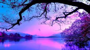 Check spelling or type a new query. Blue And Purple Sunset Hd Wallpaper
