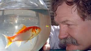 Brian Nitschke's Instagram, Twitter & Facebook