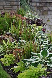 Pin On Garden Nursery Ideas