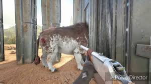 How To Instantly Tame A Daeodon Full Food Drain Instantly Youtube There are two ways to spawn a creature. how to instantly tame a daeodon full food drain instantly