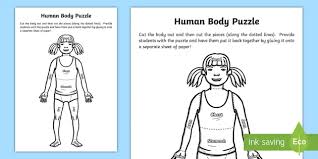 How to use smart puzzle glue sheets The Human Body Puzzle Teacher Made