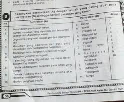 Tolong Dibantu Besok Dikumpulin Brainly Co Id