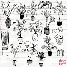 Black And White Simple Hand Drawn House Clipart House Plant Clipart Hand Drawn Plants Clipart Potted Plant Etsy How To Draw Hands Plant Doodle Plant Art