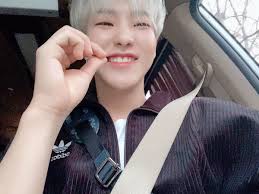 Последние твиты от hoshi (@hoshiofficial). Seventeen Fancafe Weverse On Twitter Hoshi Weverse 200321 05 30 Kst Horanghae 2 Pledis 17