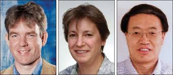 De Jonge, Ross, and Wang to receive MRS Innovation in Materials  Characterization Award