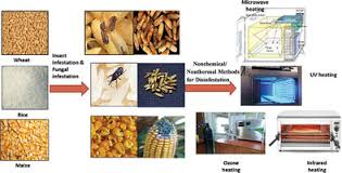 They tend to be overlooked by loyal customers who know the food is the best eradication method for a major infestation is: Ecofriendly Nonchemical Nonthermal Methods For Disinfestation And Control Of Pest Fungal Infestation During Storage Of Major Important Cereal Grains A Review Srivastava Food Frontiers Wiley Online Library