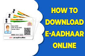 There is also eggnog fudge, eggnog truffles and eggnog truffle cups. How To Download Aadhaar Card Online Step By Step Video Guide