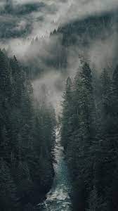 Forest backgrounds hd wallpapers free download wallpaperbetter. Pin On Amazing Nature