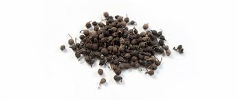 Image result for Piper guineense