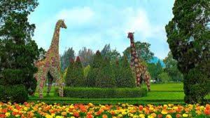 There are at least three narrow roads leading to this garden. Wisata Taman Bunga Nusantara Cipanas Yang Wajib Dikunjungi Tempatwisataunik Com