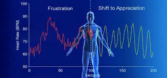 Article Explains Importance Of Heart Rate Variability For Your Health Heartmath Institute Emotional Resilience Positive Emotions New Quantum