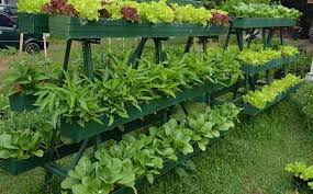 Emak bikin sambel pecel | masakan emak di desa. Vegetables Garden Ideas For Android Apk Download
