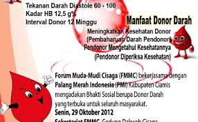 Sama seperti donor darah, donor plasma darah juga mempunyai manfaat dan efek sampingnya bagi kesehatan. Syarat Donor Darah Pmi Cute766