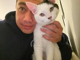 We are missing our cat Gerry. Please let me know if you have seen him.