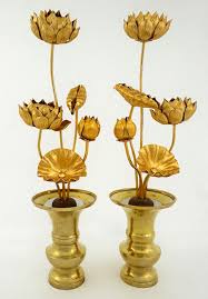 Image result for Lotus discolor