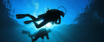 Why Diving In The Florida Panhandle Is Your Next Big Adventure