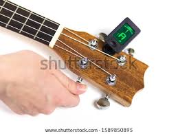 Cheap storage holders & racks, buy quality home & garden directly from china suppliers:uke stainless steel kitchen storage rack kitchen cookware racks kitchen storage holders racks kitchen shelves enjoy free shipping worldwide! Shutterstock Puzzlepix