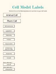 Are plant and animal cells the same? Plant And Animal Cell Model Project By Catherine Love Tpt