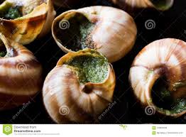 Escargots De La Bourgogne Nourriture D Escargot Avec Le Beurre Persille Plat De Gourmet De Frances Image Stock Image Du Gourmet Beurre 109954585