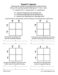 Learn About Genetics And The Human Genome On Exploringnature Org Punnett Square Activity Science Classroom Science Education