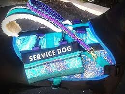 K9craftco Specially Made To Order Working Dog Vest All Of My Products Are 100 Customisable In Size S Service Dog Vests Service Dogs Gear Service Dog Patches