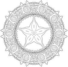 Walrus with long white tusks. Mandala Coloring Books 20 Of The Best Coloring Books For Adults
