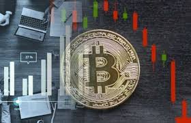 Tone Vays Bitcoin Bet If You Think Btc Is Going Below
