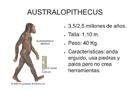 Imagen relacionada