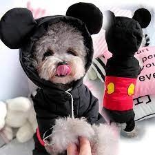 Teacup and toy size puppies.yorkie for sale in southern california, yorkie puppies for sale, Cute Winter Warm Dog Clothes Jumpsuit Small Dog Overalls Yorkies Yorkshire Terrier Coat Waterproof Puppy Chihuahua Pet Costume Dog Coats Jackets Aliexpress